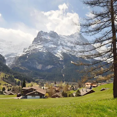 Kirchbühl Apartamento Grindelwald