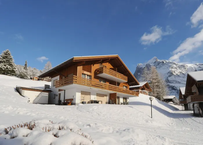 Appartement Kirchbuehl