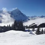 Kirchbuehl Daire Grindelwald