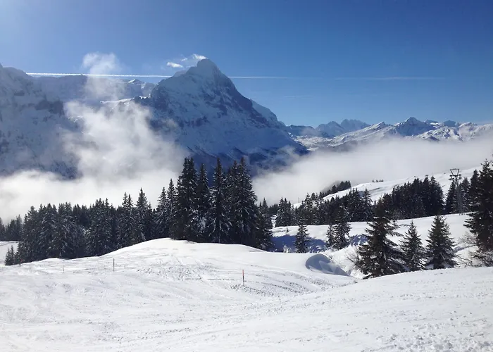 Kirchbuehl Appartamento Grindelwald